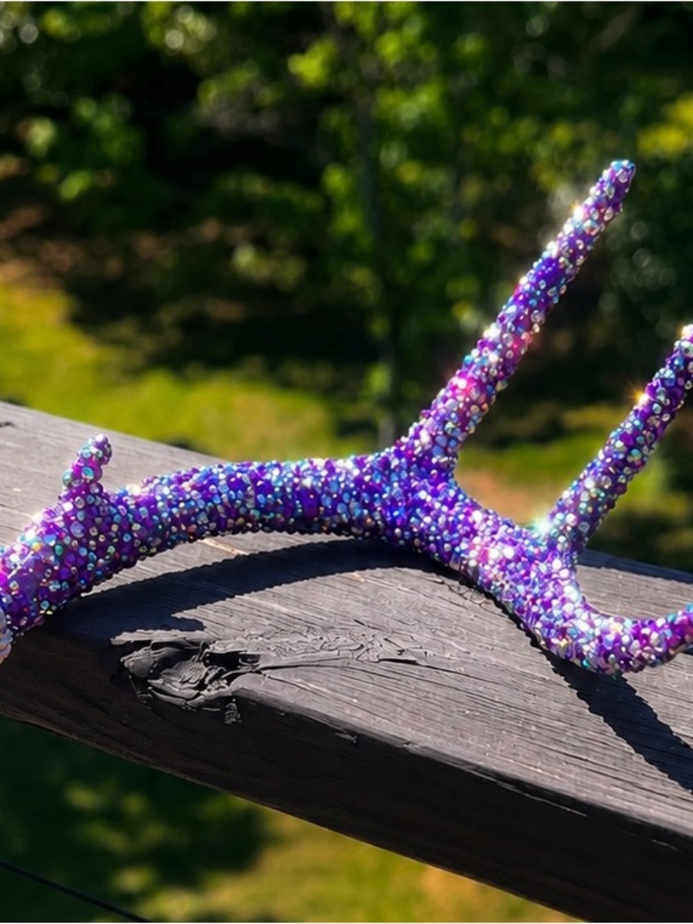 Purple Rhinestone Authentic Deer Antler ✨ Cottage Glam Woodland Decor